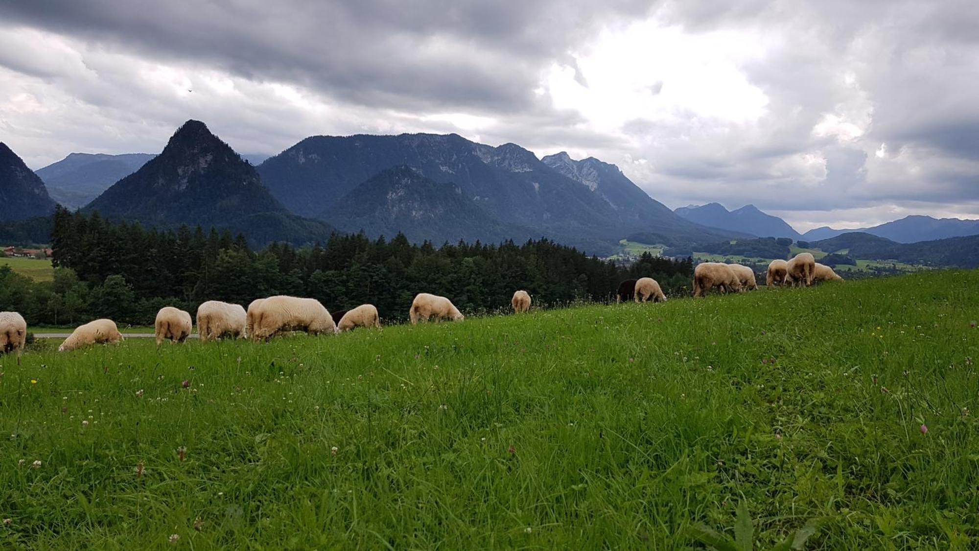 Ferienwohnung Hinterpommern - Chiemgaukarte Inzell Zewnętrze zdjęcie