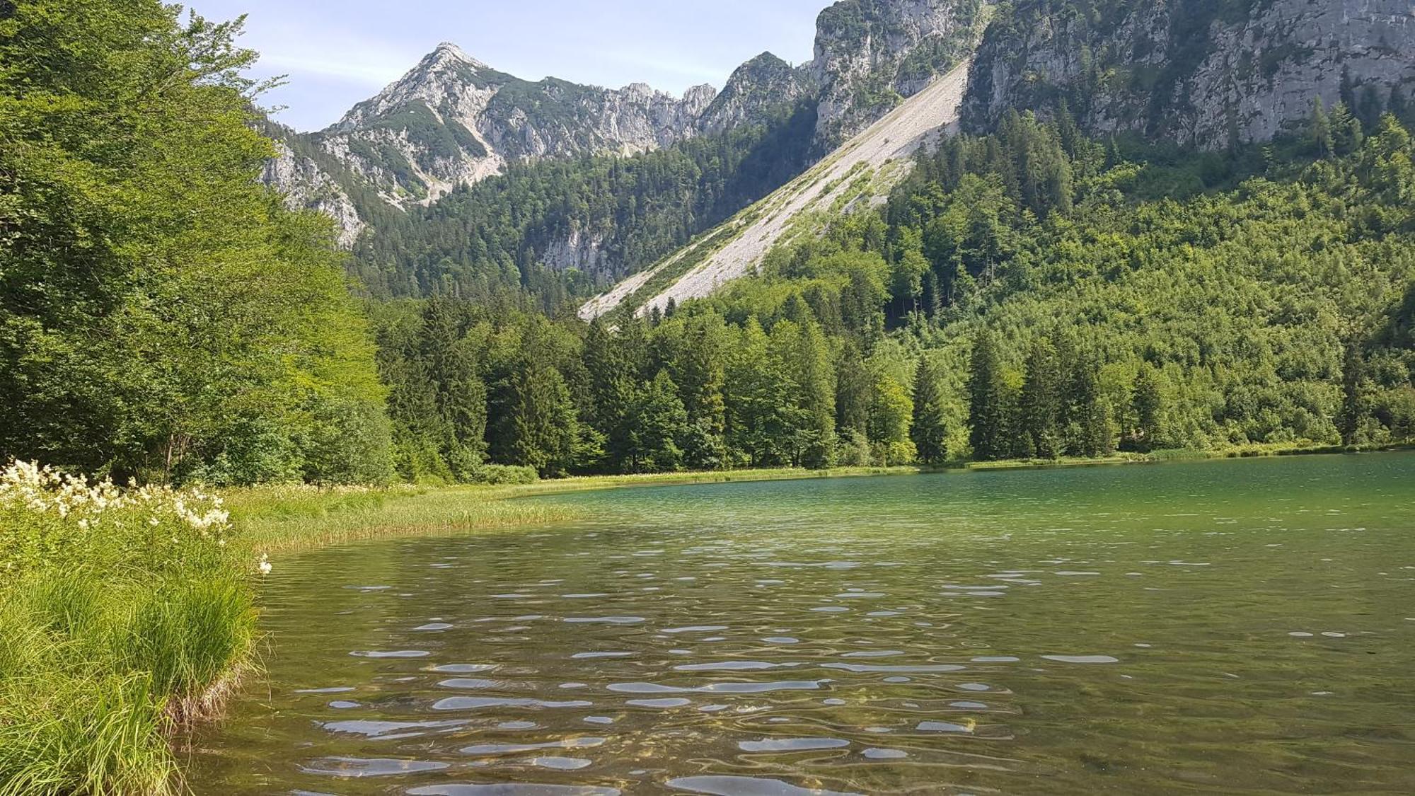 Ferienwohnung Hinterpommern - Chiemgaukarte Inzell Zewnętrze zdjęcie